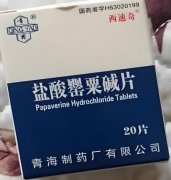 血管的“解痉能手”——认识盐酸罂粟碱片